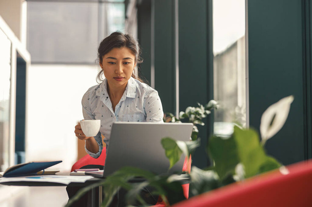 Kobieta przedsiębiorca pracuje na laptopie siedząc przy biurku w nowoczesnym współpracowniku. Wysokiej jakości zdjęcie - Zdjęcie, obraz