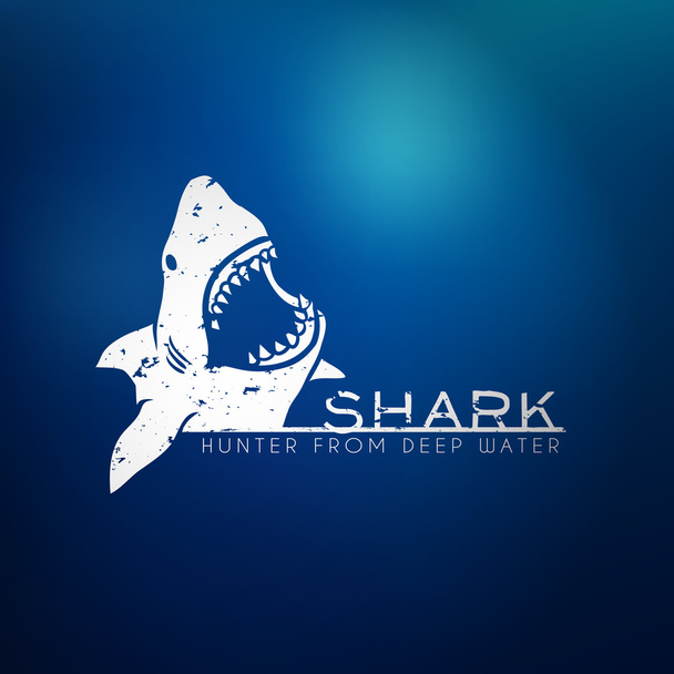 Shark concept - Vector, afbeelding