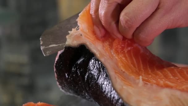 Kırmızı balık somon balığı tuzlama işlemi, balığı kabuğundan soyar, üzerine tuz döker ve bir süre tuzlamaya bırakır. Lezzetli sağlıklı ürünler, sağlıklı deniz ürünleri, dişi ellerinin yakın çekimi. Temiz balık - Video, Çekim