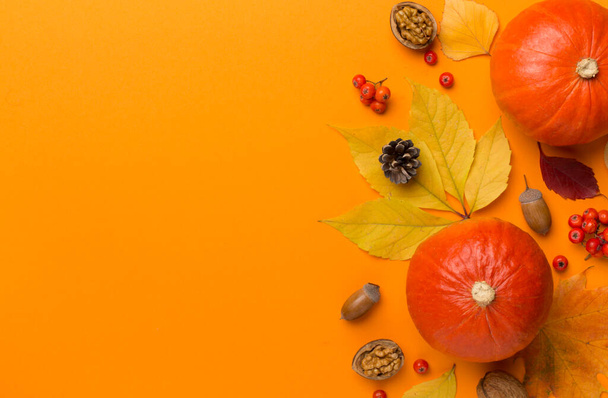 カボチャ、果実と色の背景に葉を持つ祭りの秋のフラットレイアウト、トップビュー. - 写真・画像