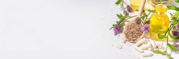 Mléčné bodláčí zásoby, prášek a olej. Silybum marianum, přírodní organické volně rostoucí květinové superpotraviny - celozrnná a zrnitá semena, pilulky, olej s čerstvými bodlákovými květy - Fotografie, Obrázek