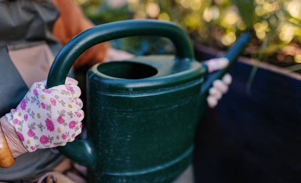 A close up of a watering can. The gardeners hands in gardening gloves holding a plastic watering can. - Fotoğraf, Görsel
