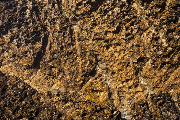 Abstract beeld, bruin steenpatroon met gaten en bobbels - Foto, afbeelding