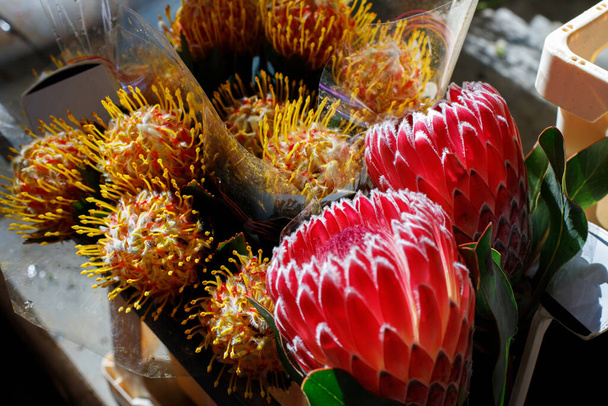 protea i Leucospermum na rynku - Zdjęcie, obraz