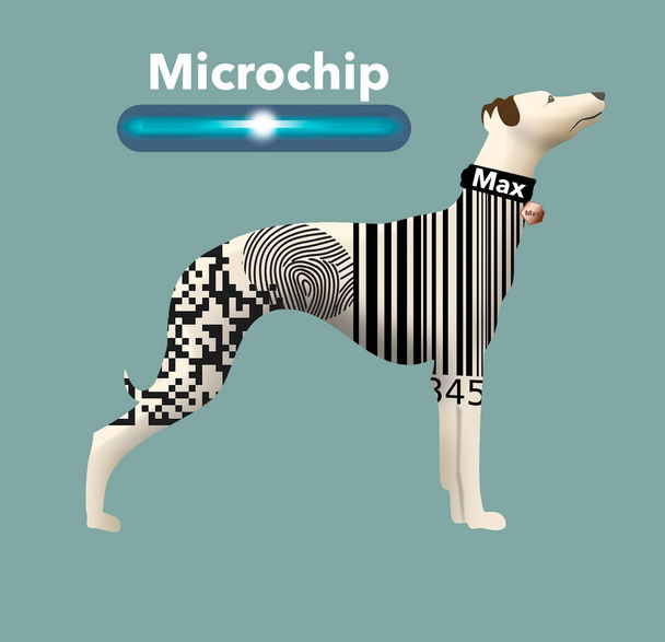 Ο καλύτερος τρόπος για να επισημάνετε το σκύλο σας, ώστε να μπορεί να επιστραφεί αν χαθεί είναι με ένα μικροτσίπ. Άλλοι τρόποι είναι κολάρο, ετικέτα, bar code, δακτυλικό αποτύπωμα και QR code. Αστεία τρισδιάστατη απεικόνιση. - Φωτογραφία, εικόνα
