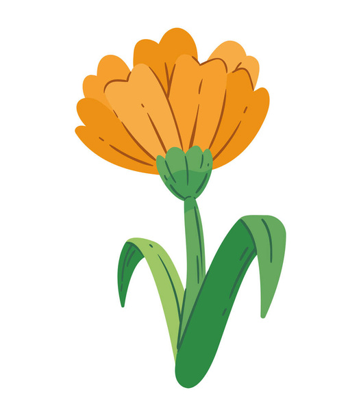 yellow flower design vector isolated - Vector, Image