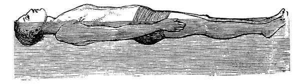背部浮遊物、ヴィンテージの刻まれた図 - ベクター画像