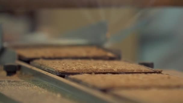 στατική αργή κίνηση γκρο πλαν των τετραγωνικών κέικ βάφλα καλύπτονται με καφέ ψίχουλα σε μια γραμμή μεταφοράς - Πλάνα, βίντεο