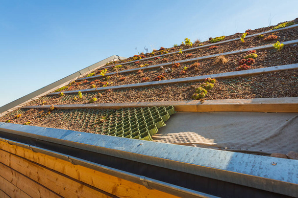 A zöld tetőszerkezet koncepciója kavicsos vízelvezetéssel és üledékes növényekkel - Fotó, kép