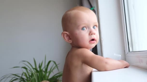 One year old baby boy playing with toys standing near the window on the windowsill at home. High quality 4k footage - Footage, Video