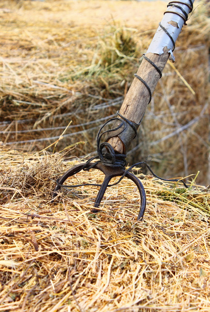 Hay bale with hayfork - Photo, Image