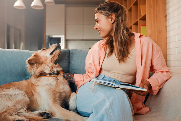 Piękna młoda kobieta siedzi na kanapie ze swoim ukochanym psem w salonie w przytulnym domu i czyta książkę. - Zdjęcie, obraz