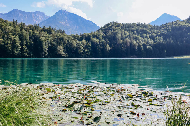 Вид на озеро Аламезе в Баварії, Німеччина - Фото, зображення