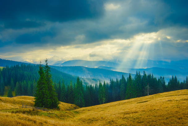 Stormy weather in a Carpathian valley - Photo, image