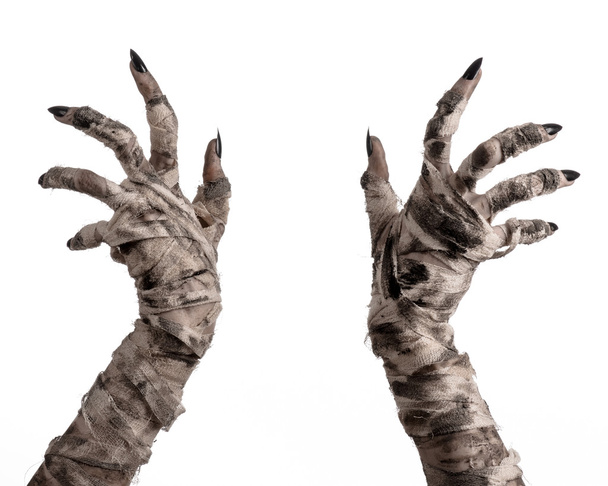 Halloween theme: terrible old mummy hands on a white background - Foto, Bild