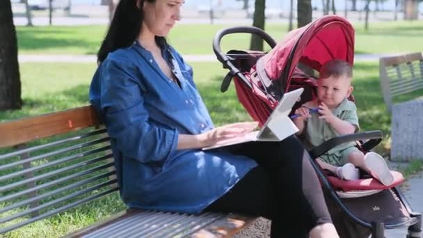 Концентрована жінка використовує ноутбук для робочих завдань, в той час як маленький син намагається вибратися з перевезення в тінистому літньому парку фрілансер і малюк потребує уваги - Кадри, відео