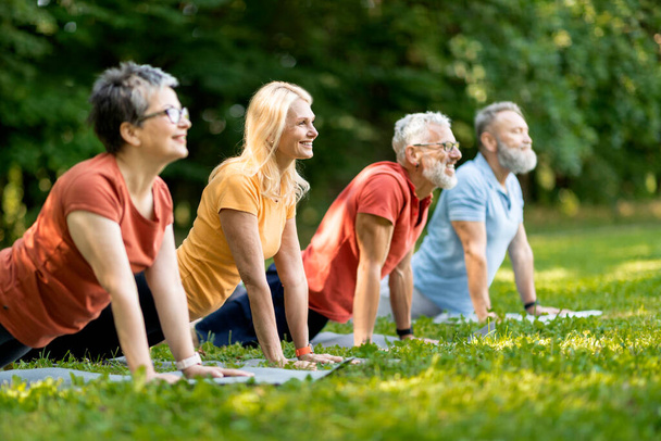 Gruppe von Senioren, die morgens Yoga im Park praktizieren, Seitenansicht von sportlichen reifen Männern und Frauen, die zusammen im Freien trainieren, nach oben gerichtete Hundehaltung machen, draußen trainieren, Raum kopieren - Foto, Bild