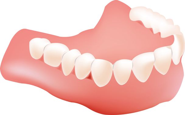 Фальшивые зубы
 - Вектор,изображение