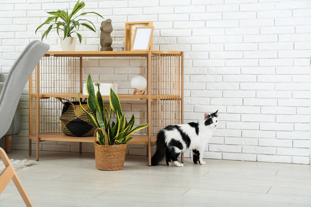 Interiér světlého obývacího pokoje s roztomilou kočkou - Fotografie, Obrázek