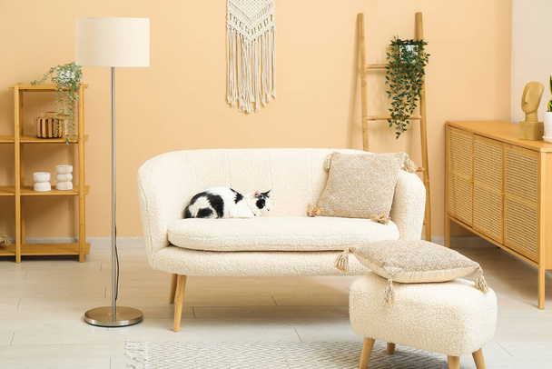 Εσωτερικό του light σαλόνι με χαριτωμένο γάτα στον καναπέ - Φωτογραφία, εικόνα