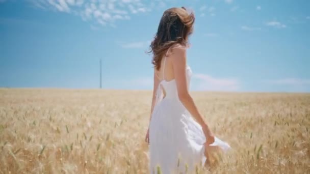 Сияющая дама, гуляющая одна по солнечной пшеничной ферме. Улыбающаяся веселая девушка смотрит в камеру на летнем поле. Счастливая женщина, вращающая прекрасную сельскую природу. Позитивная молодая модель, исследующая сельский пейзаж - Кадры, видео