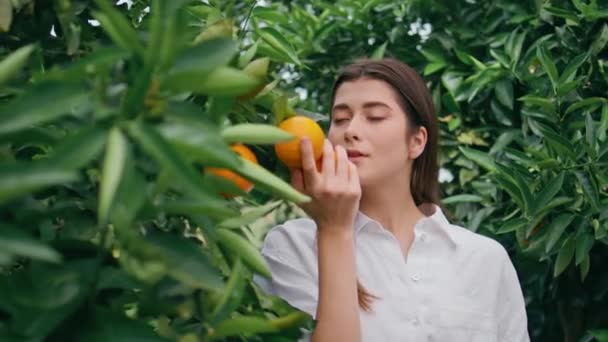 Vrolijke dame ruikt citrusvruchten op tropische natuur close-up. Glimlachende jonge vrouw geniet van oranje aroma wandelen in botanische tuin. Heerlijk brunette onderzoeken mandarijn brunch op landbouwgrond plantage - Video