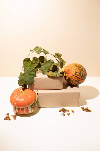 Kürbisse mit Schachteln und Blättern. Minimales Herbstkonzept - Foto, Bild