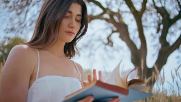 Romantic girl holding book sitting in beautiful nature closeup. Attractive tranquil woman enjoy reading on summer calm morning. Relaxed young brunette relax alone on spikelets rye field landscape - Footage, Video