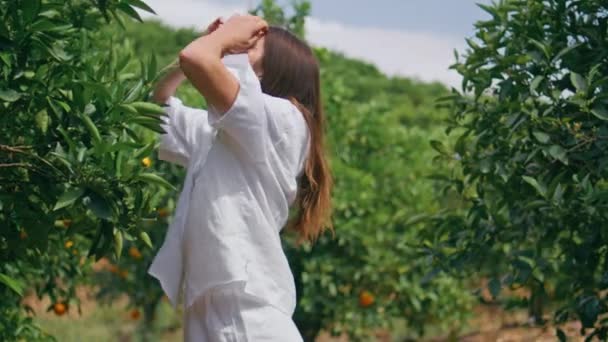 Relaxed brunette enjoying summer freshness at lush greenery. Happy young woman touching hair stretching hands at botanical garden hills. Smiling lady squinting sun at orange trees harvest plantation - Footage, Video