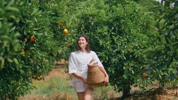 Szczęśliwa pani spacerując pomarańczowe drzewa słoneczny ogród. Uśmiechnięta młoda kobieta niosąca kosz spacerujący bujną zielenią naturę. Podekscytowana radosna dziewczyna badająca mandarynkowe cytrusy w tropikalnej alejce. Koncepcja zbiorów - Materiał filmowy, wideo
