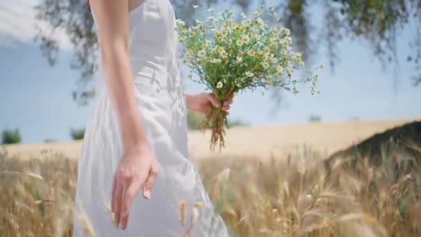Woman figure walking spikelets field closeup. Graceful happy lady sniffing bouquet strolling rural meadow. Romantic smiling model crossing summer garden nature enjoying relishing wildflowers aroma - Footage, Video