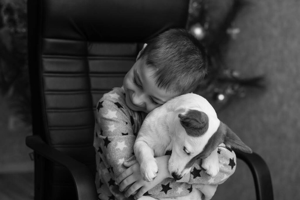Мальчик обнял собаку Джека Рассела. черно-белое фото - Фото, изображение