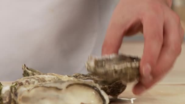 geöffnete Austernschale - Filmmaterial, Video