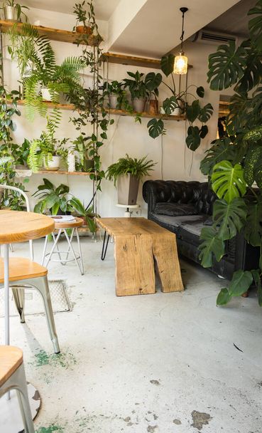 Természetbarát kávézó belső. Modern városi étterem. Dívány, székek és fa asztal a teraszon a növények. Padlás sok növény a polcon és a bútorok. Modern életmód. Terasz dekoráció.  - Fotó, kép
