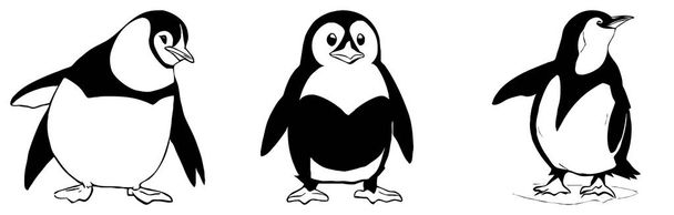 Penguin . Black and white graphics. Logo design for use in graphics. T-shirt print, tattoo design.  - Photo, Image