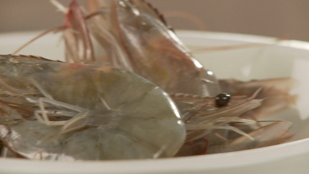 Crevettes fraîches sur assiette
 - Séquence, vidéo