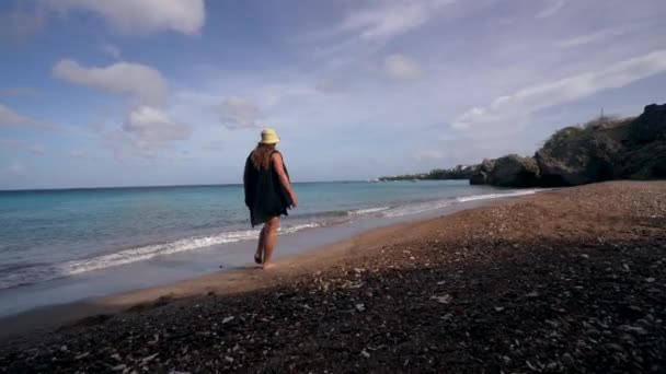 Vrouw op het strand in de Caibbean - Video