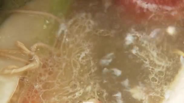 Wacholderbeeren werden der Suppe hinzugefügt - Filmmaterial, Video