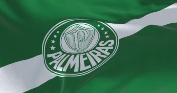 Sao Paulo, BR, září 8 2023: Fotbalový klub Palmeiras vlaje za jasného dne. Brazilský sportovní klub, hraje v Brasileirao Serie A. Bezproblémové 3D vykreslování animace. Pomalý pohyb. 4k - Záběry, video