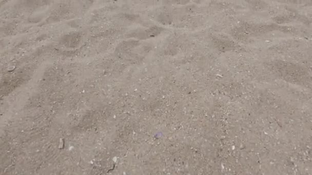 夏のビーチの砂のパターンの閉鎖. 4k ビデオ - 映像、動画
