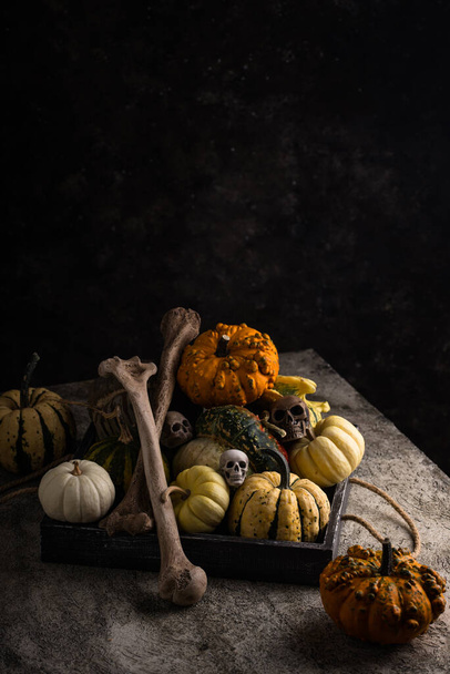 Elegante naturaleza muerta de Halloween con calabaza decorativa y huesos - Foto, imagen