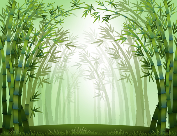 Bambusz - Vektor, kép