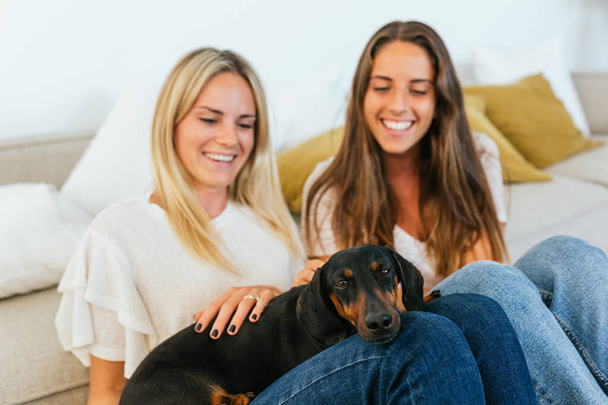 Cheerful female friends in casual wear caressing adorable black Dachshund in hands while while sitting on the floor leaning on the sofa in living room at home - Photo, Image