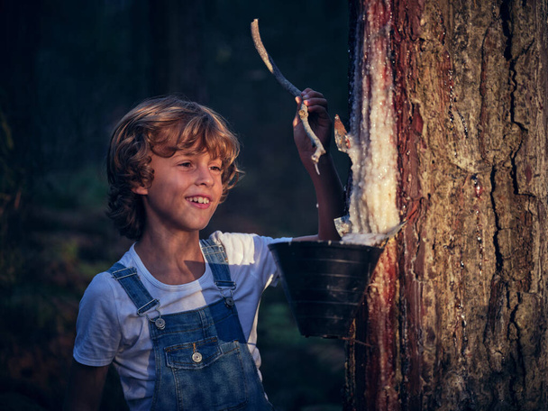 Positive boy with resin looking at wooden stick while standing near tree trunk with container in countryside on evening time - Photo, Image