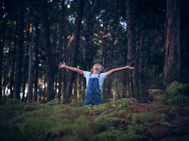 Cute boy in denim overall with spread arms standing in woods with green fern plants and trees on summer day - Photo, Image