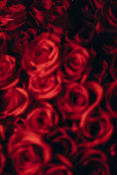 um buquê de rosas vermelhas - Foto, Imagem