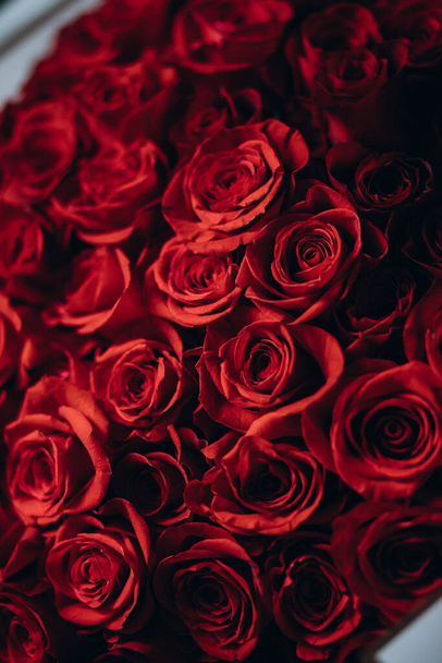 赤いバラの花束 - 写真・画像