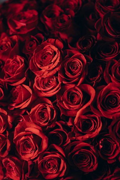 букет червоних троянд
 - Фото, зображення
