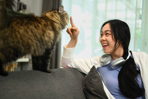 Mujer joven feliz jugando su gato gris esponjoso en acogedora sala de estar. Amor, amistad y concepto de mascotas. - Foto, Imagen