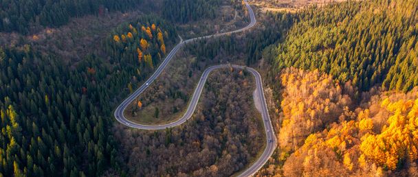Vue du drone : Capturer la splendeur de la serpentine de montagne à l'automne - Photo, image